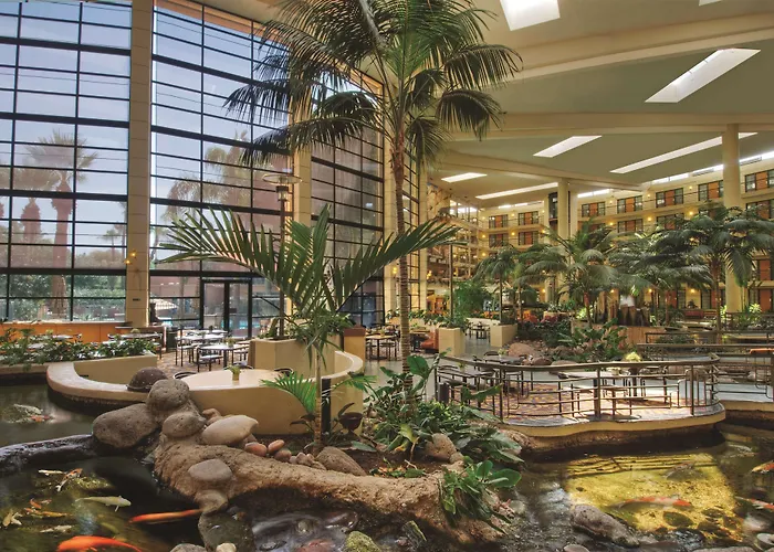 Embassy By Hilton Biltmore 3* Phoenix